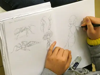 k-Ameisen Skizzen Ha My Nguyen web 2.jpg